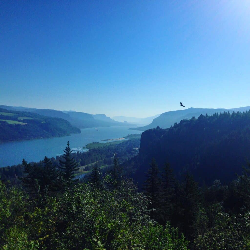 The view from Crown Point Vista House